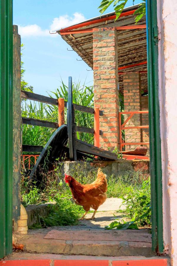 Hostel La Hacienda San Gil Zewnętrze zdjęcie