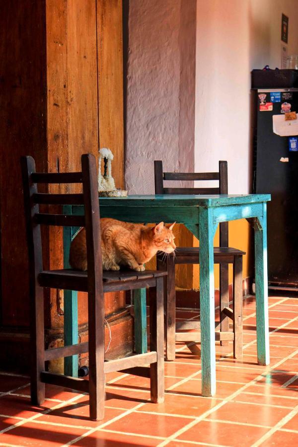 Hostel La Hacienda San Gil Zewnętrze zdjęcie